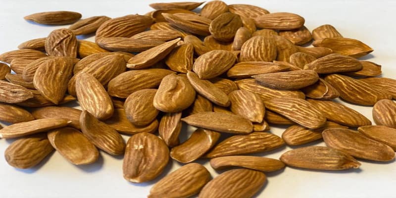  سعر اللوز بالجملة وبالكيلو في الأسواق مصر التجارية 