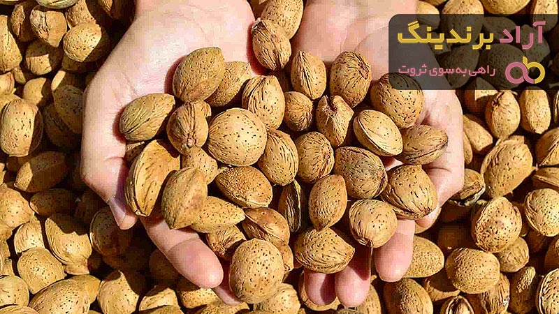  اللوز الهندي في مصر (البجلي) عادي مالح حار ذات لون فاتح 