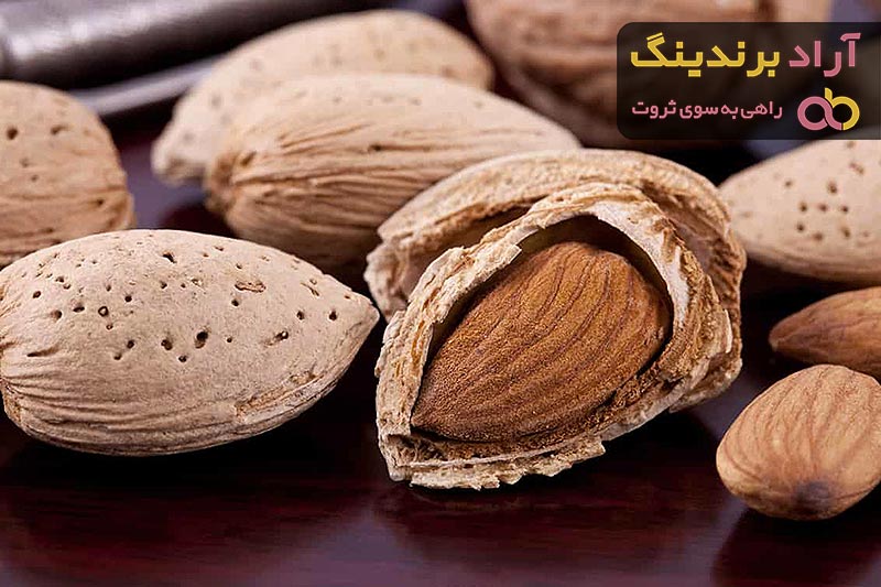  اللوز الهندي في مصر (البجلي) عادي مالح حار ذات لون فاتح 