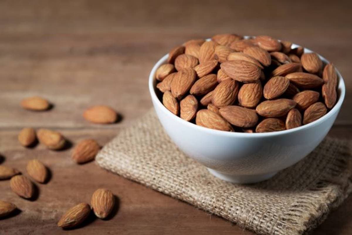  زراعة شجرة اللوز الاستوائي وبيعها بأجود الكيفيات المطلوبة 