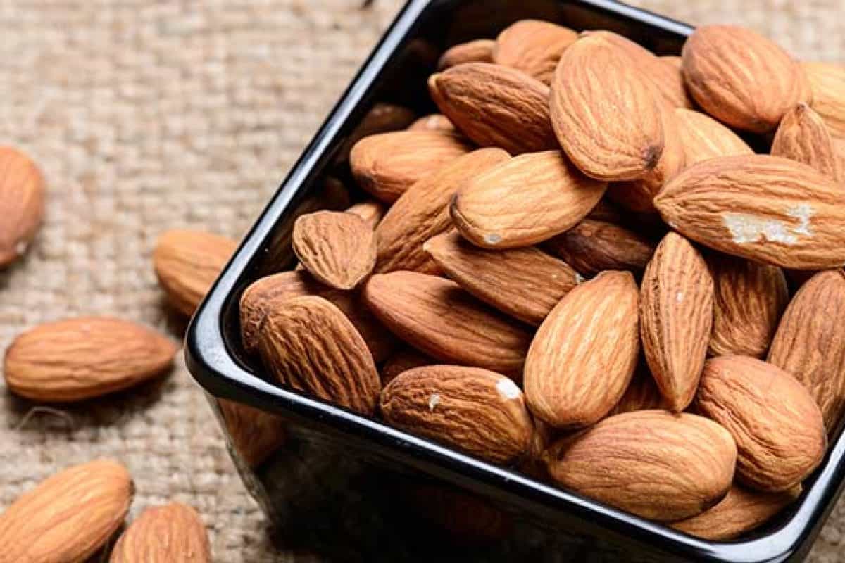  زراعة شجرة اللوز الاستوائي وبيعها بأجود الكيفيات المطلوبة 